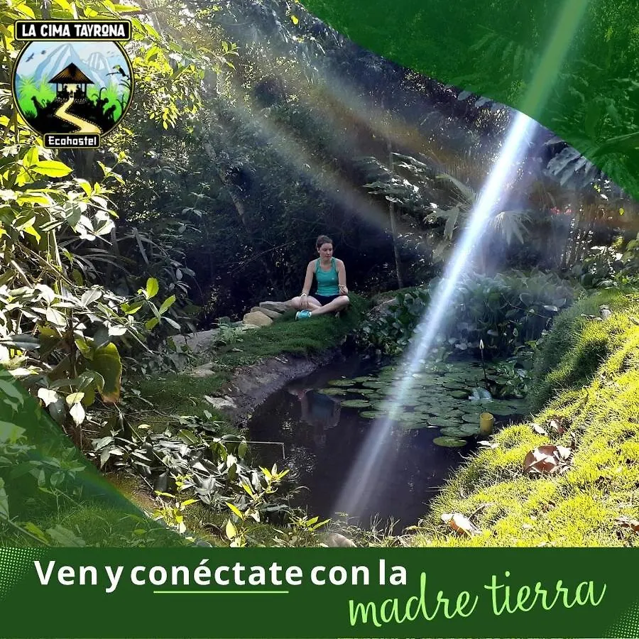 Hotel La Cima Tayrona Santa Marta  Campo de lujo